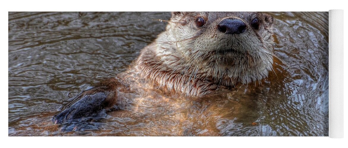 Otter Yoga Mat featuring the photograph River Otter by Kathy Baccari
