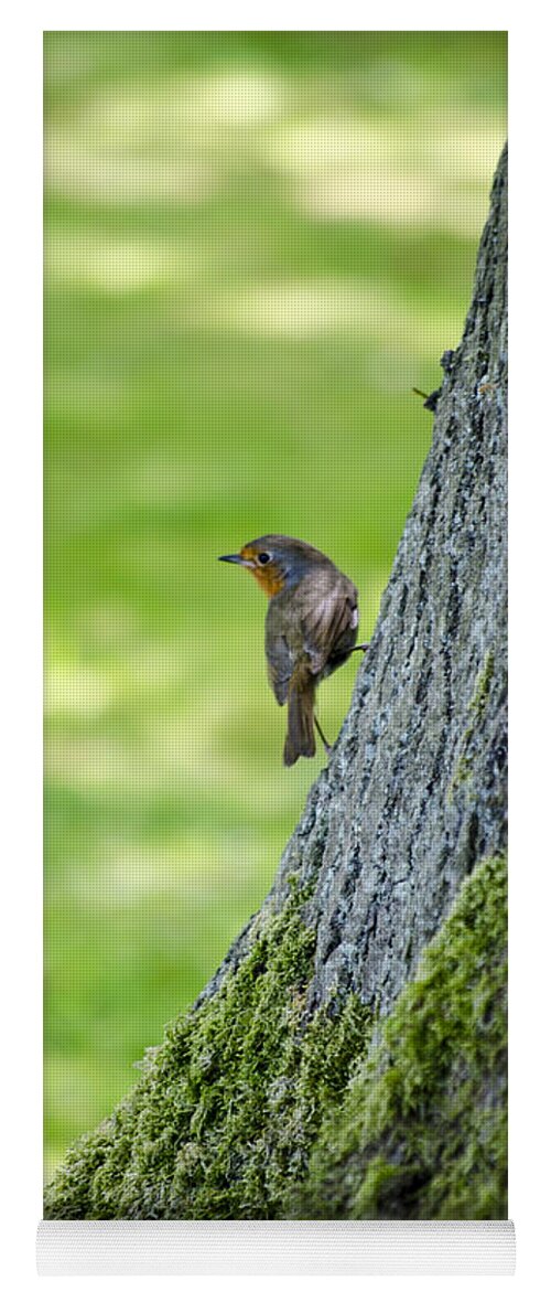 Garden Yoga Mat featuring the photograph Robin At Rest by Spikey Mouse Photography