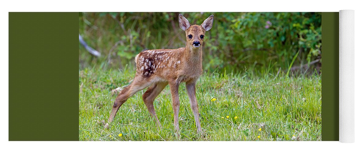 Roe Deer Fawn Yoga Mat featuring the photograph Roe Deer Fawn by Torbjorn Swenelius