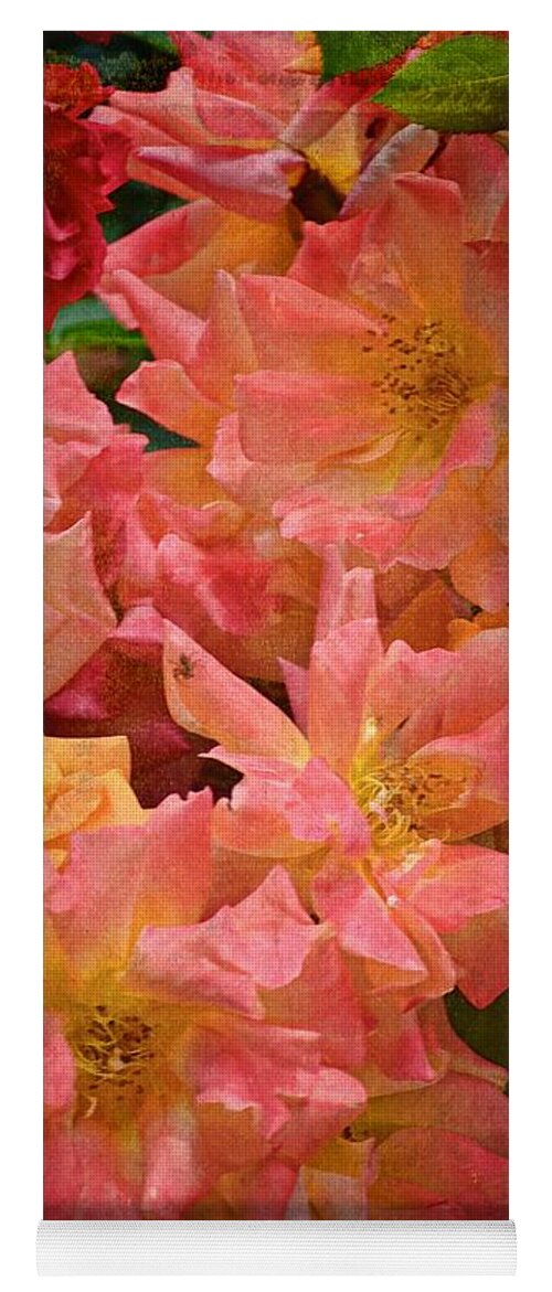 Floral Yoga Mat featuring the photograph Rose 301 by Pamela Cooper