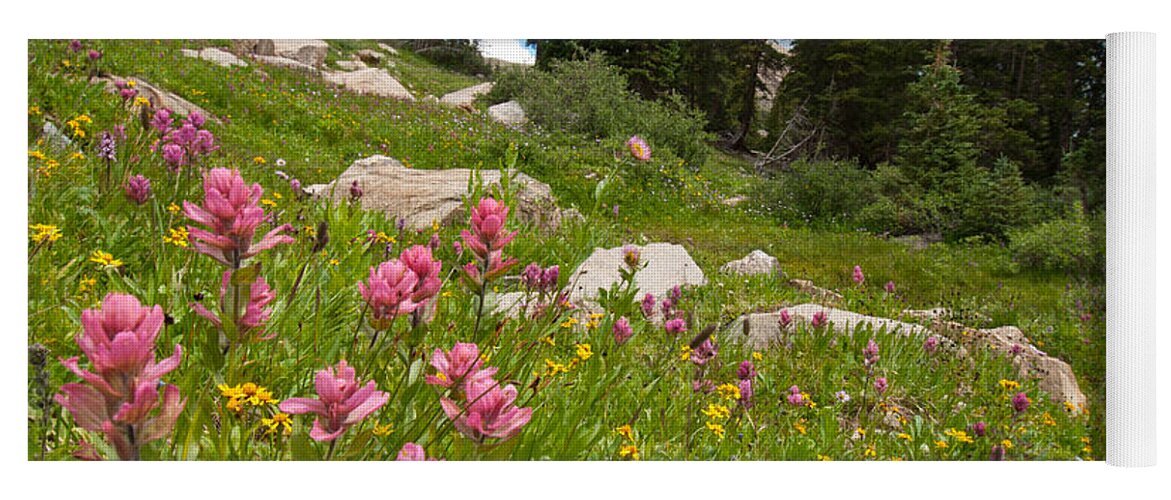 Indian Peaks Wilderness Area Yoga Mat featuring the photograph Rosy Paintbrush and Trees by Cascade Colors