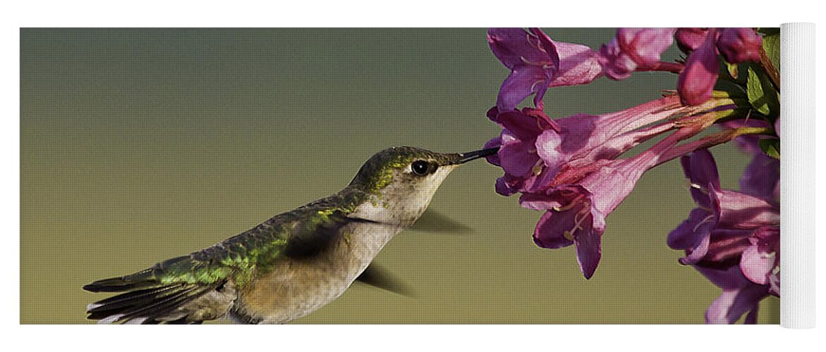 Humming Bird Yoga Mat featuring the photograph Ruby in Pink by Jan Killian