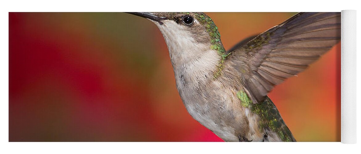 Ruby-throated Hummingbird Yoga Mat featuring the photograph Ruby Throated Hummingbird by Dale Kincaid