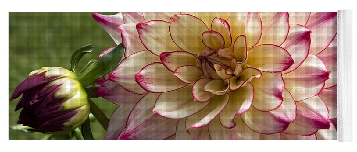 Flower Yoga Mat featuring the photograph Ruby Tinged Ferndale Blossom by Lorraine Devon Wilke