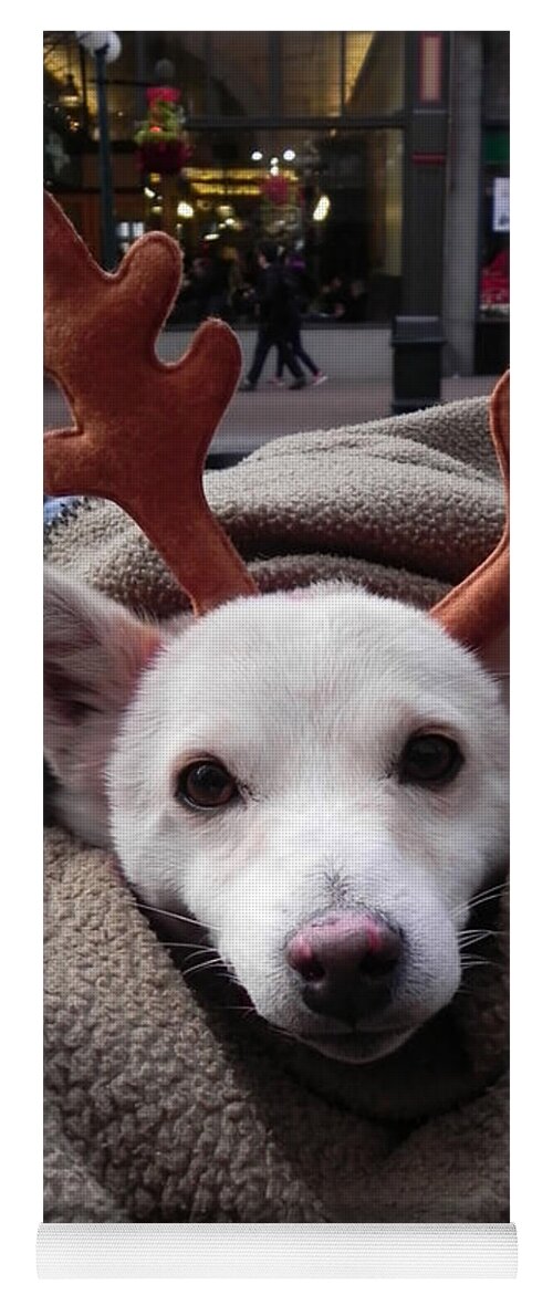 Dog Yoga Mat featuring the photograph Rudolph by Cheryl Hoyle