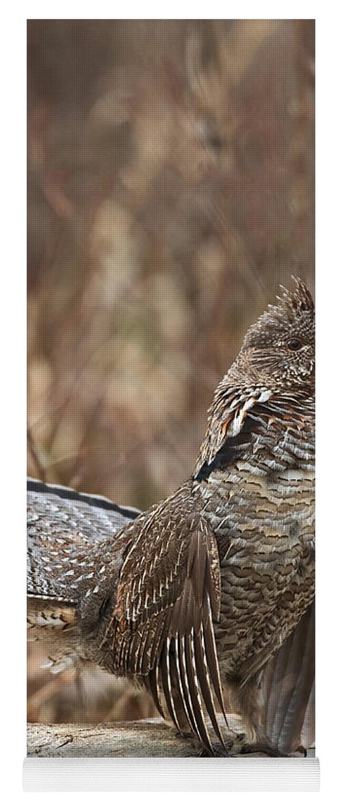 Ruffled Yoga Mat featuring the photograph Ruffled Grouse drumming 2 by Gary Langley