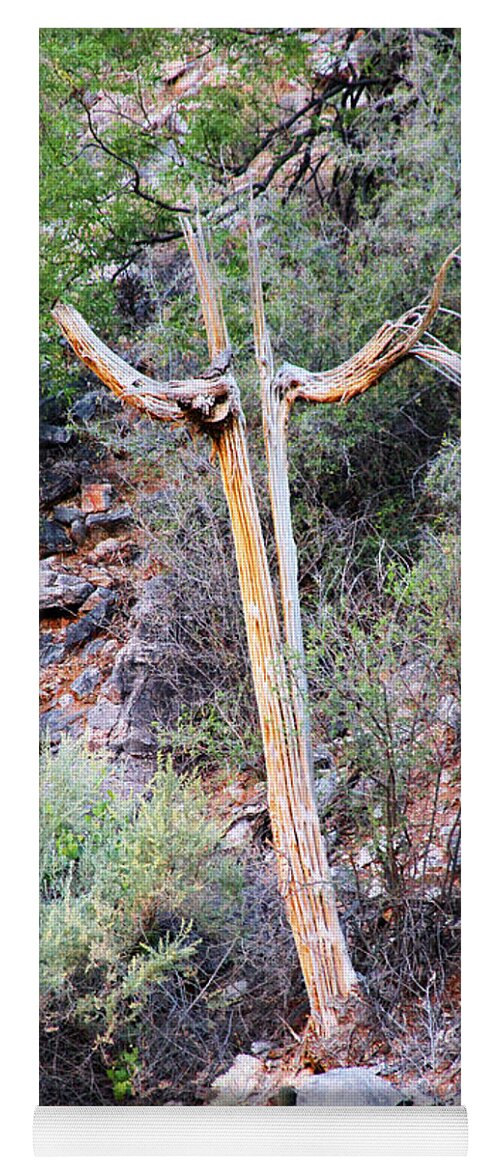 Tucson Yoga Mat featuring the photograph Saguaro Skeleton by Jemmy Archer