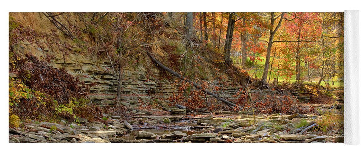 Autumn Yoga Mat featuring the photograph Salt Creek by Jack R Perry