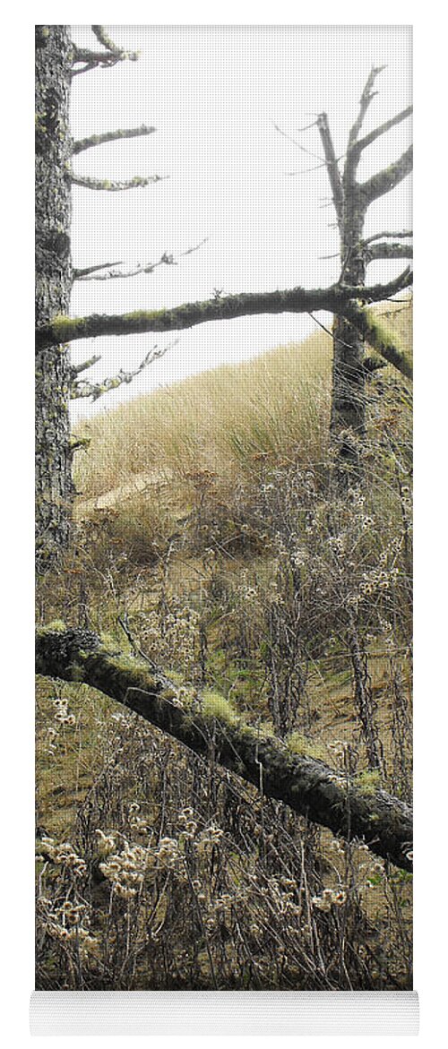 Tree Trunks Yoga Mat featuring the photograph Sandy Hillside by Adria Trail