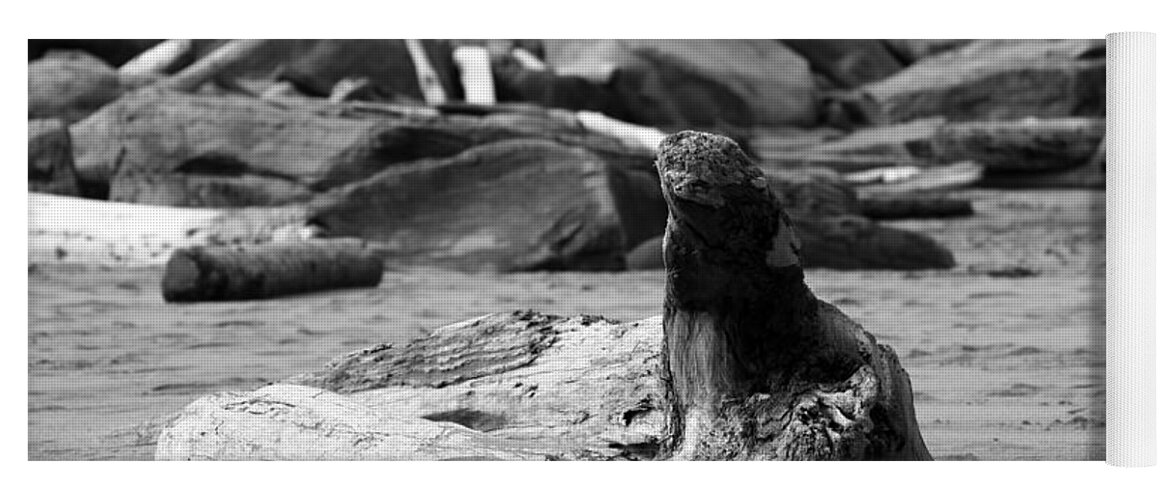 Beaches Yoga Mat featuring the photograph Sea Lion or Driftwood by Kathy McClure