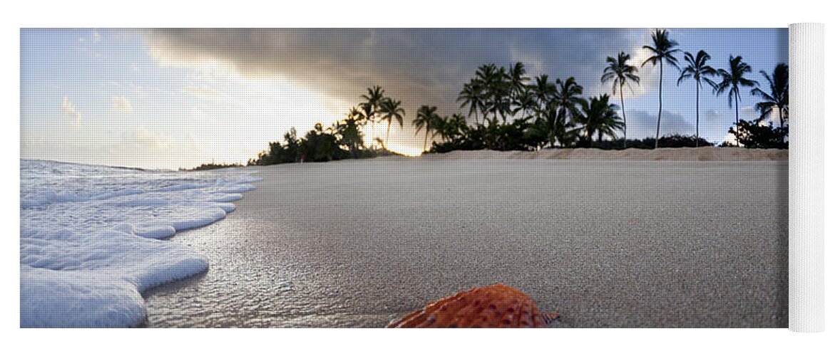  Seashell Yoga Mat featuring the photograph Sea Shell Sunrise by Sean Davey