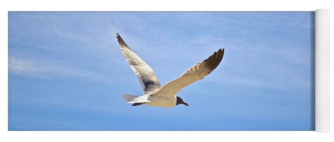 Seagull Yoga Mat featuring the photograph Seagull in Flight by Kristina Deane