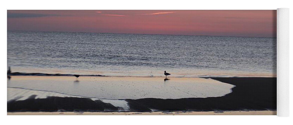 Animals Yoga Mat featuring the photograph Seagulls on the Seashore by Robert Banach