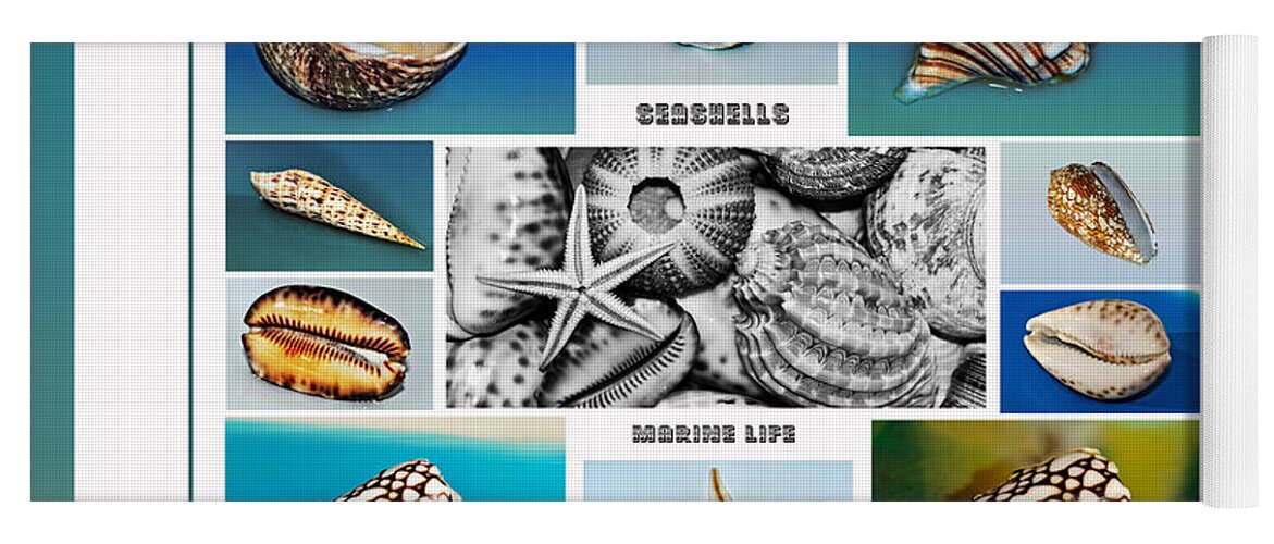 Photography Yoga Mat featuring the photograph Seashell Collection 3 - Collage by Kaye Menner