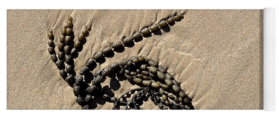Seaweed Yoga Mat featuring the photograph Seaweed on beach by Steven Ralser