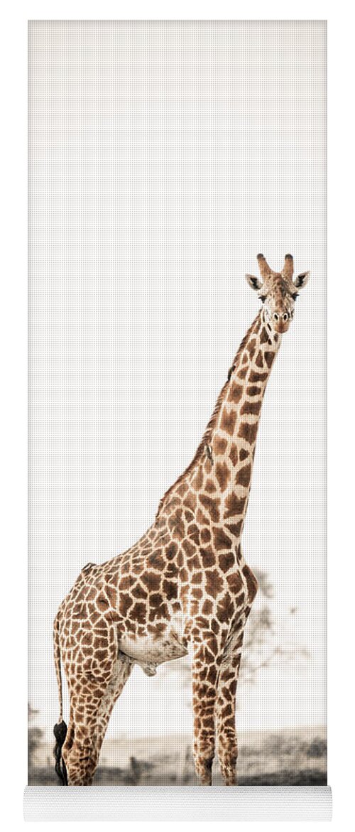 Africa Yoga Mat featuring the photograph Sentinal Giraffe by Mike Gaudaur