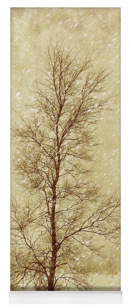Tree Yoga Mat featuring the photograph Sentinel Tree in Winter by Nikolyn McDonald