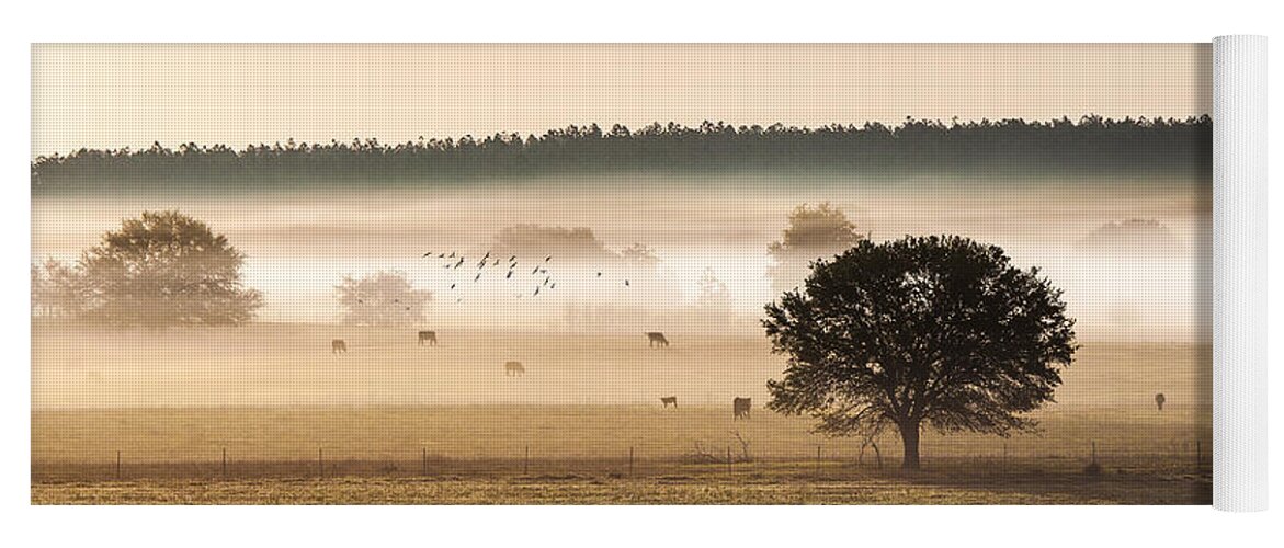 Animal Yoga Mat featuring the photograph Sepia Landscape from 500 feet by Jo Ann Tomaselli