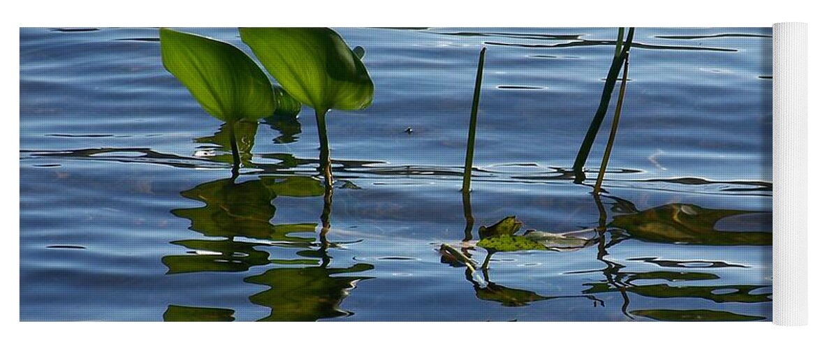 Water Yoga Mat featuring the photograph September Reflections by Jackie Mueller-Jones