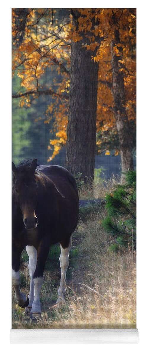 Horse Yoga Mat featuring the photograph September Surrender by Amanda Smith