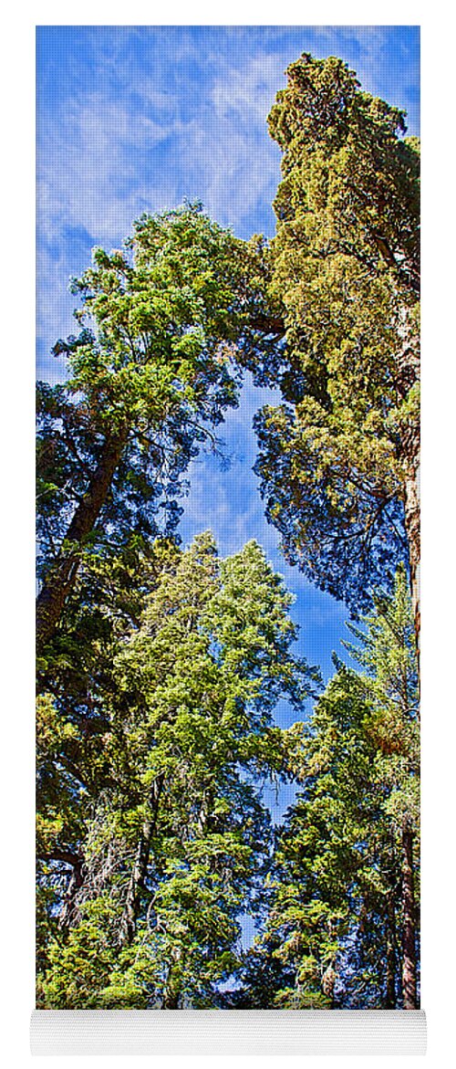 Sequoias Reaching To The Clouds In Mariposa Grove In Yosemite National Park Yoga Mat featuring the photograph Sequoias Reaching to the Clouds in Mariposa Grove in Yosemite National Park, California by Ruth Hager