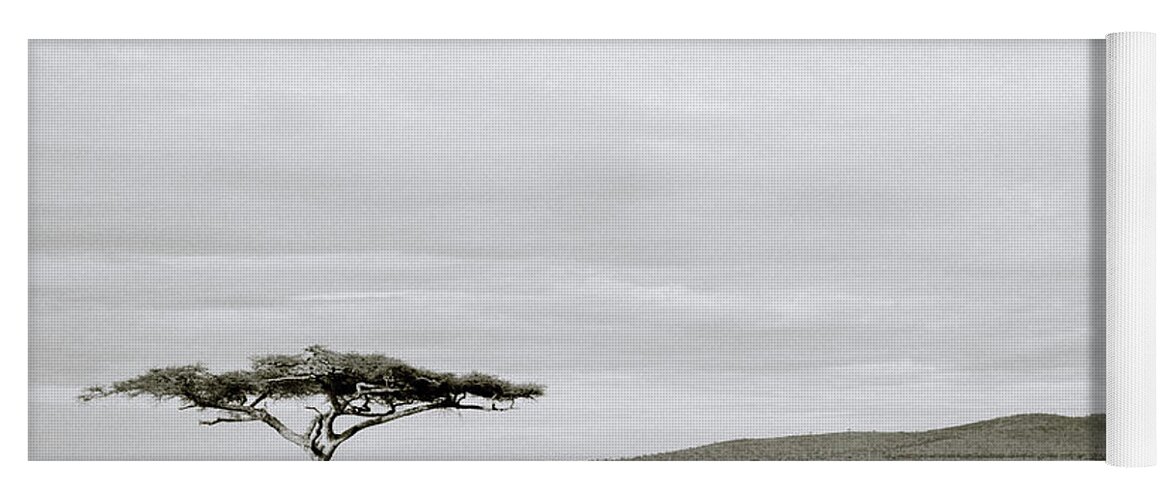 Africa Yoga Mat featuring the photograph Serengeti Acacia Tree by Shaun Higson