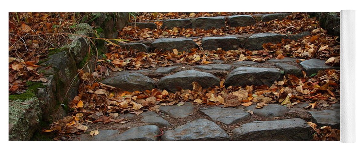 Serenity Steps Step Stairs Climb Autumn Fall Leaves Fallen Nature Landscape Landscapes Photography Temperance River State Park Parks Minnesota Mn North Shore Stone Hill Schroeder Climbing Superior Hiking Trail Hiking Club Parks Lake Superior Path Trails Off The Beaten North America American Rocky Rocks Scenic Serene Tranquility Meditation Outdoors Outdoor Relaxation Nature Beauty Unique Season Seasons Seasonal Staircase Winding Hillside Hill Hills Foliage Leaf Litter Masonry Yoga Mat featuring the photograph Serenity by James Peterson