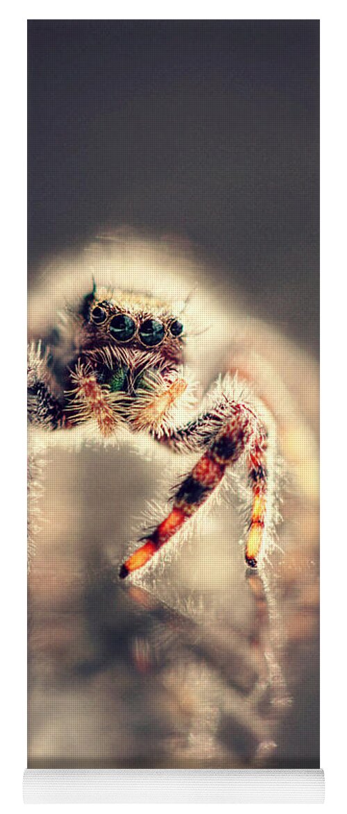 Spider Yoga Mat featuring the photograph Set in Motion by Melanie Lankford Photography