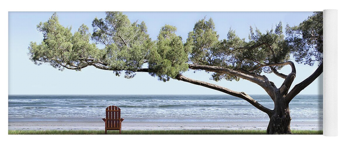 Shade Tree Yoga Mat featuring the photograph Shade Tree Panoramic by Mike McGlothlen