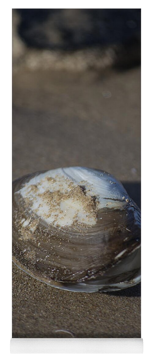 Sea Shell Yoga Mat featuring the photograph Shell or someone's dinner by Spikey Mouse Photography