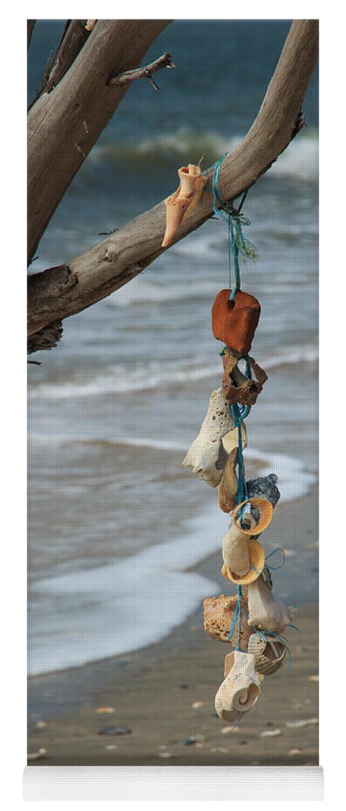 South Carolina Yoga Mat featuring the photograph Shells on a String by Patricia Schaefer