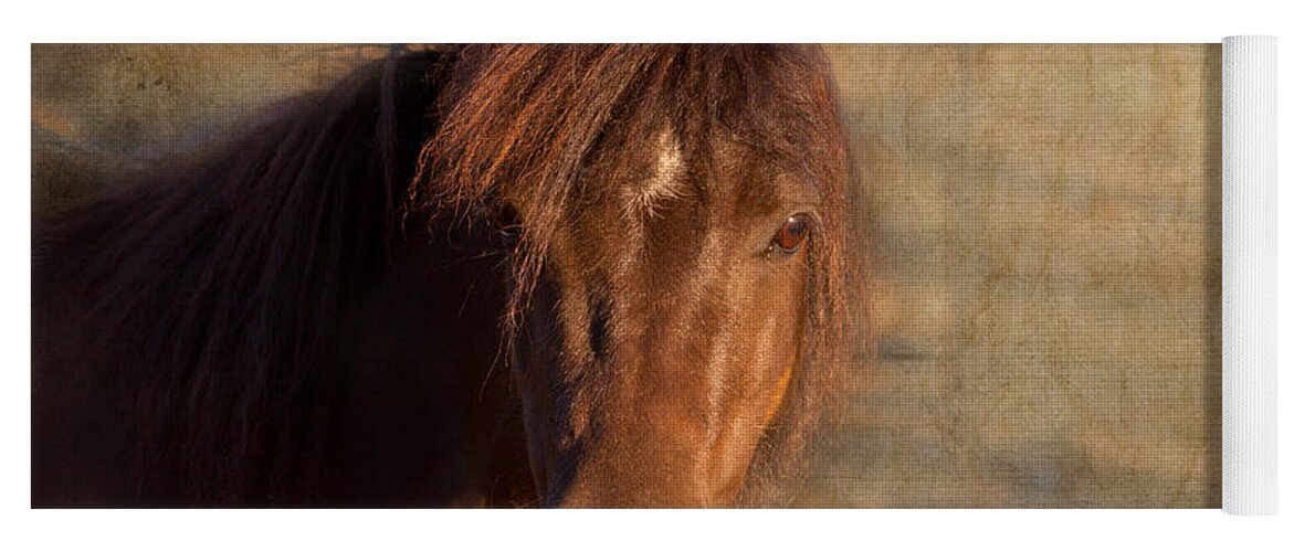 Horse Photography Yoga Mat featuring the photograph Shetland Pony at Sunset by Michelle Wrighton