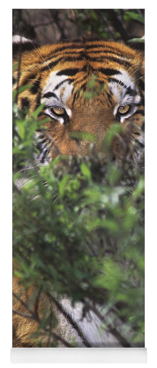 Siberian Tiger Yoga Mat featuring the photograph Siberian Tiger in hiding Wildlife Rescue by Dave Welling