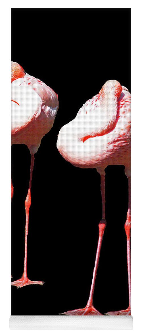 Flamingos Yoga Mat featuring the digital art Siesta in Pink by Lizi Beard-Ward