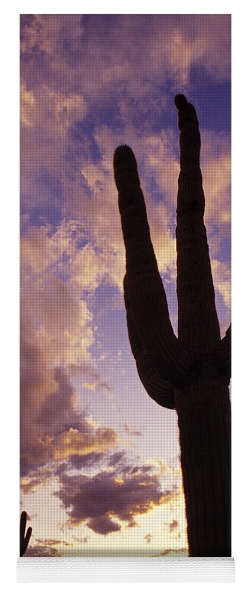American Southwest Yoga Mat featuring the photograph Silhouetted saguaro cactus sunset at dusk Arizona State USA by Jim Corwin