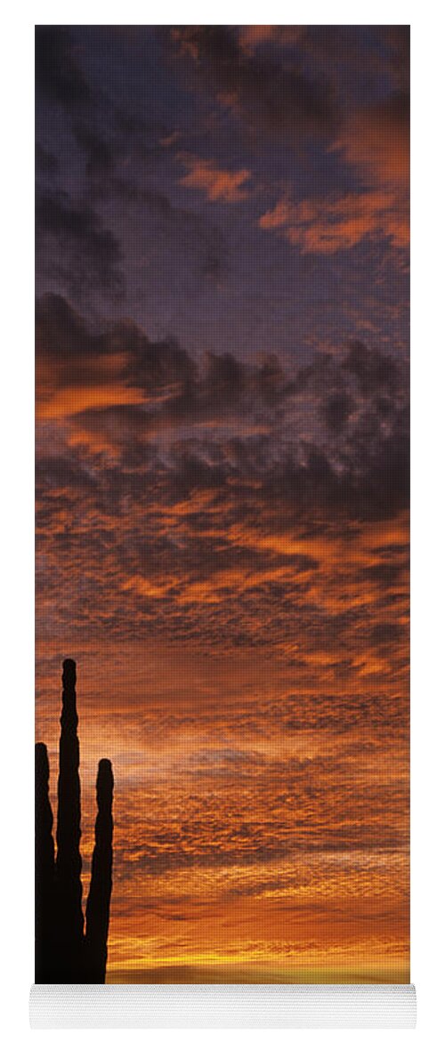 American Southwest Yoga Mat featuring the photograph Silhouetted saguaro cactus sunset at dusk with dramatic clouds by Jim Corwin