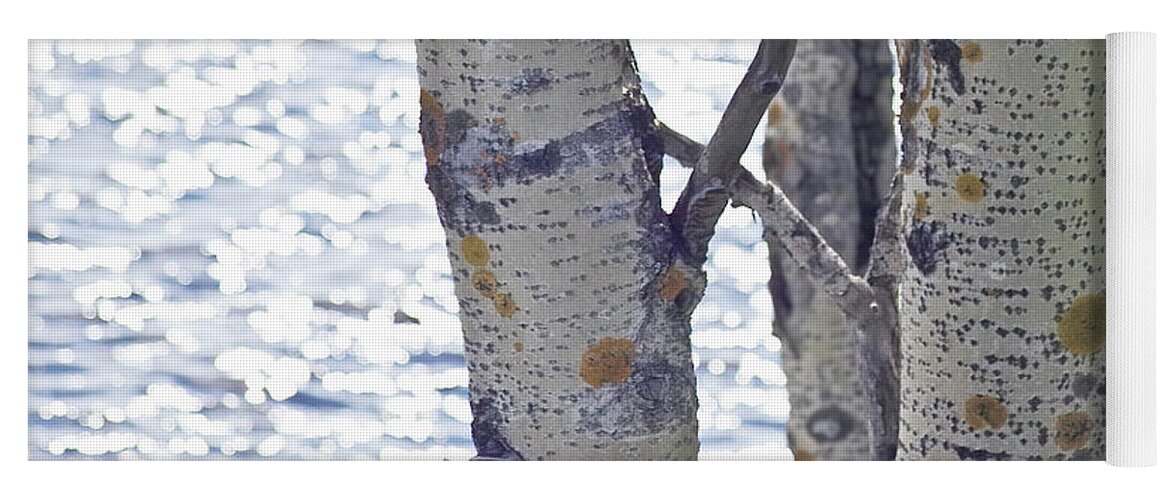 Tree Yoga Mat featuring the photograph Silver birch trees at a sunny lake by Heiko Koehrer-Wagner
