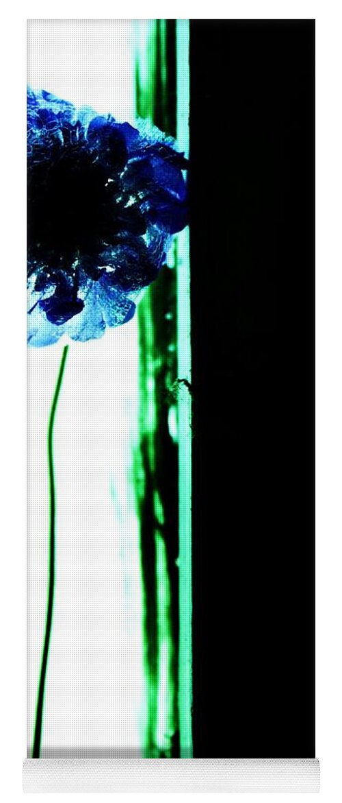 Flowers Blue Windows Still Life Plants Green Yoga Mat featuring the photograph Simply by Jessica S
