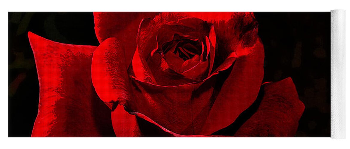 Rose Yoga Mat featuring the photograph Simply Red Rose by Phyllis Denton