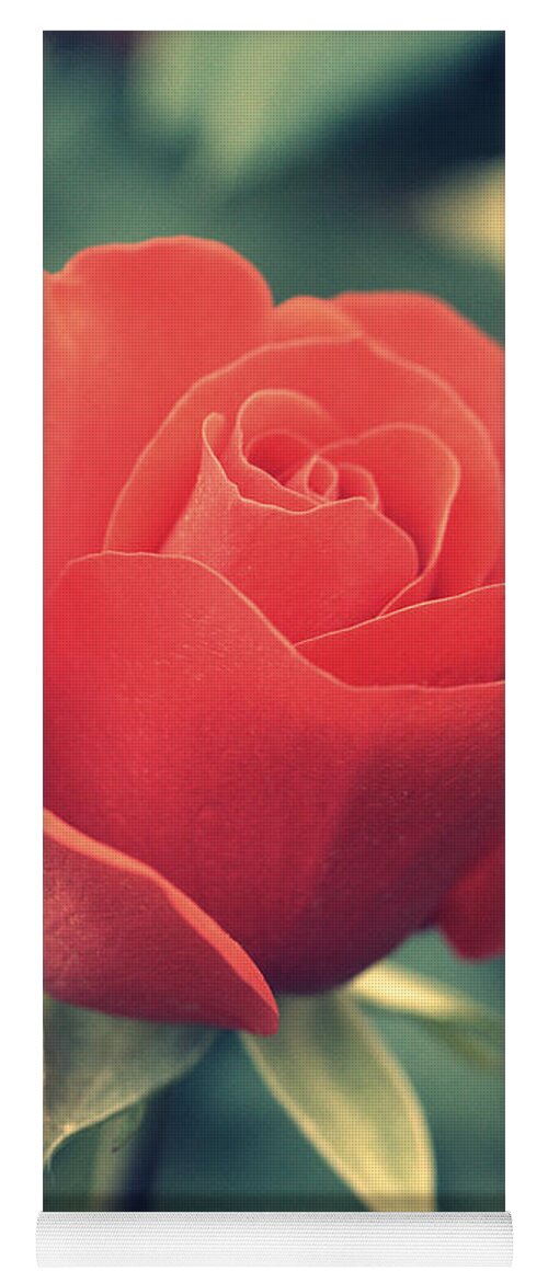 Gift Yoga Mat featuring the photograph Single red Rose by Amanda Mohler