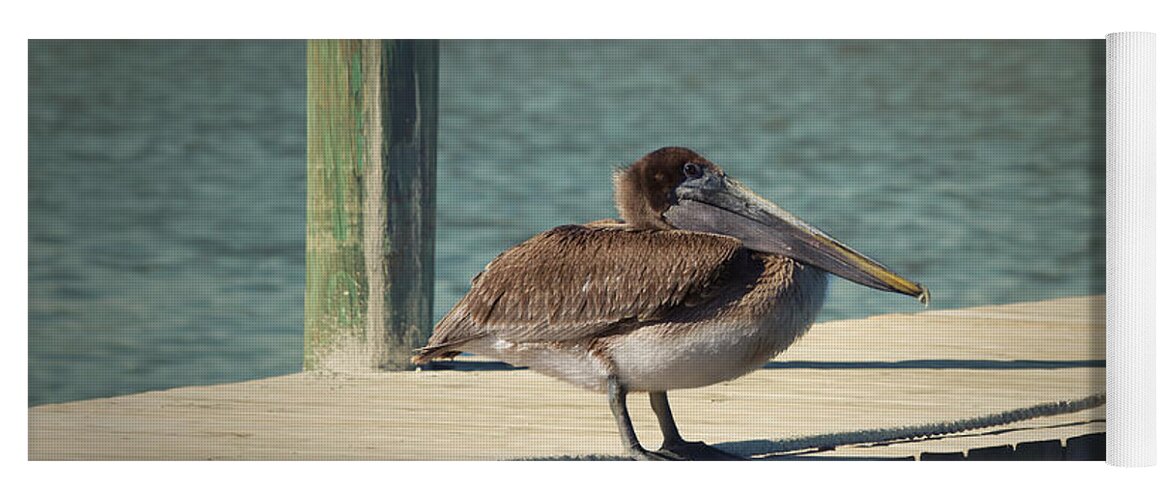 Pelican Yoga Mat featuring the photograph Sitting on the Dock of the Bay by Kim Hojnacki
