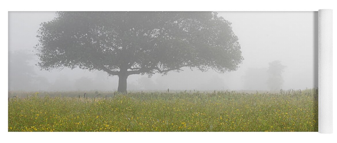 Fog Yoga Mat featuring the photograph SKC 0056 Tree in Fog by Sunil Kapadia