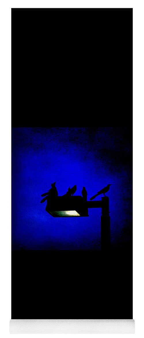 Birds Yoga Mat featuring the photograph Sleepless at Midnight by Trish Mistric