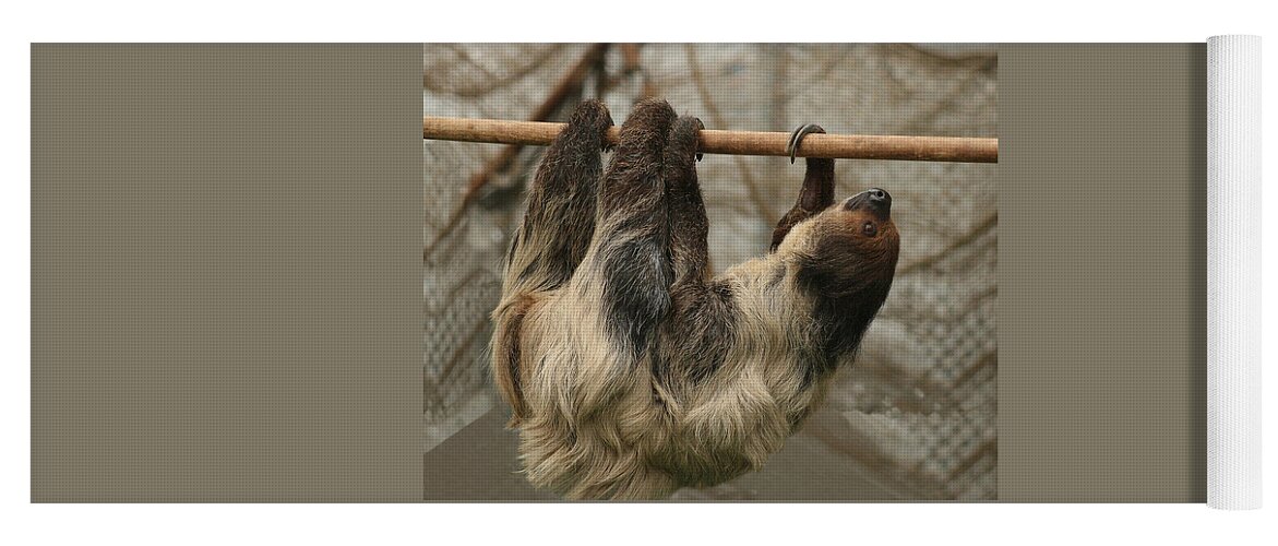 Sloth Yoga Mat featuring the photograph Sloth by Ellen Henneke