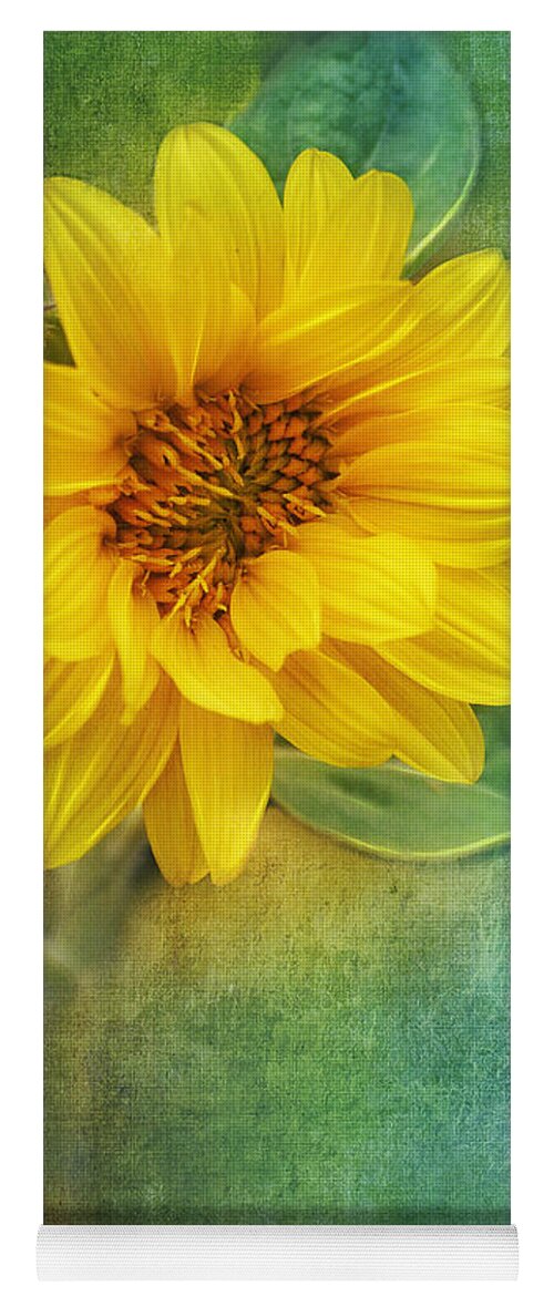 Photo Yoga Mat featuring the photograph Small Sunflower by Jutta Maria Pusl