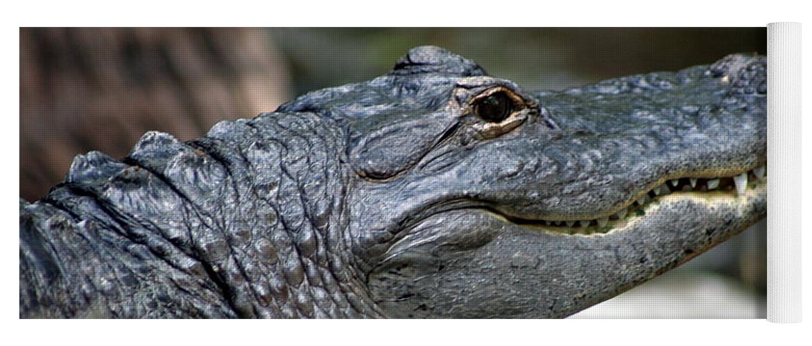 Alligator Yoga Mat featuring the photograph Smiling Alligator by Valerie Collins