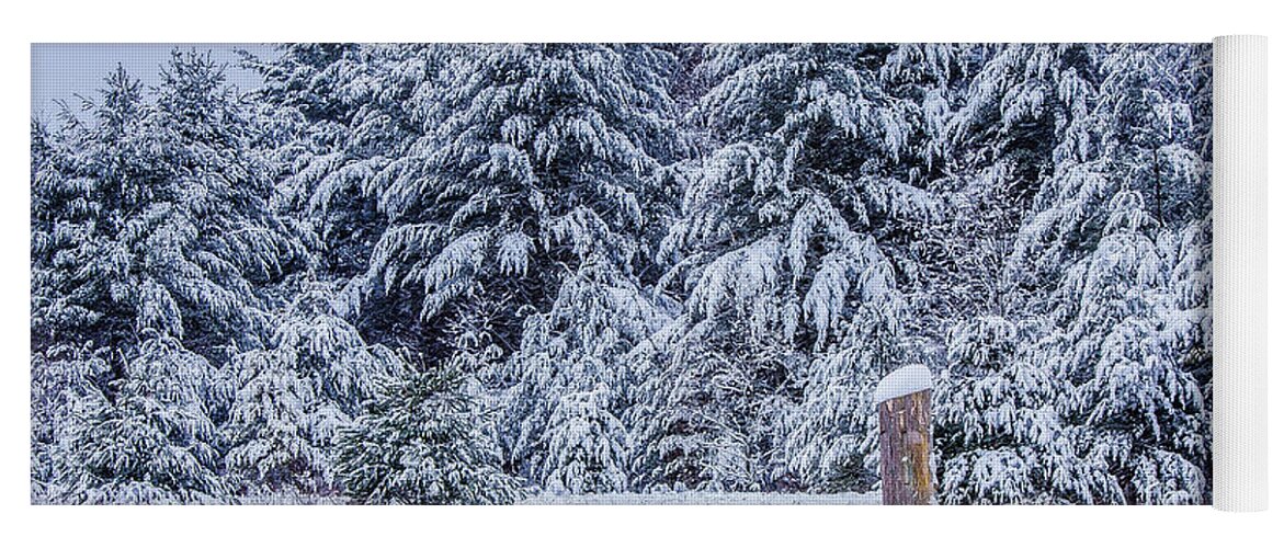 Snow Covered Pine Trees Yoga Mat featuring the photograph Snow Day by Rick Bartrand