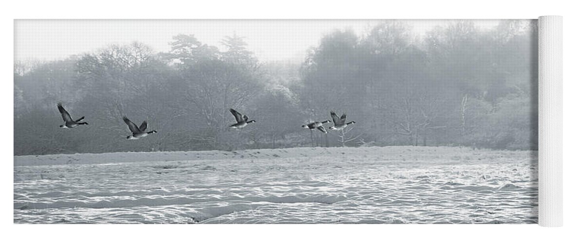 Landscape Yoga Mat featuring the photograph Snow and Geese by David Davies