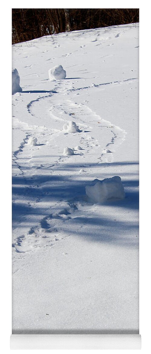 Winter Yoga Mat featuring the photograph Snow Rollers by Karen Adams