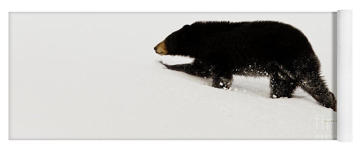 Bear Yoga Mat featuring the photograph Snowy Bear by Jan Killian